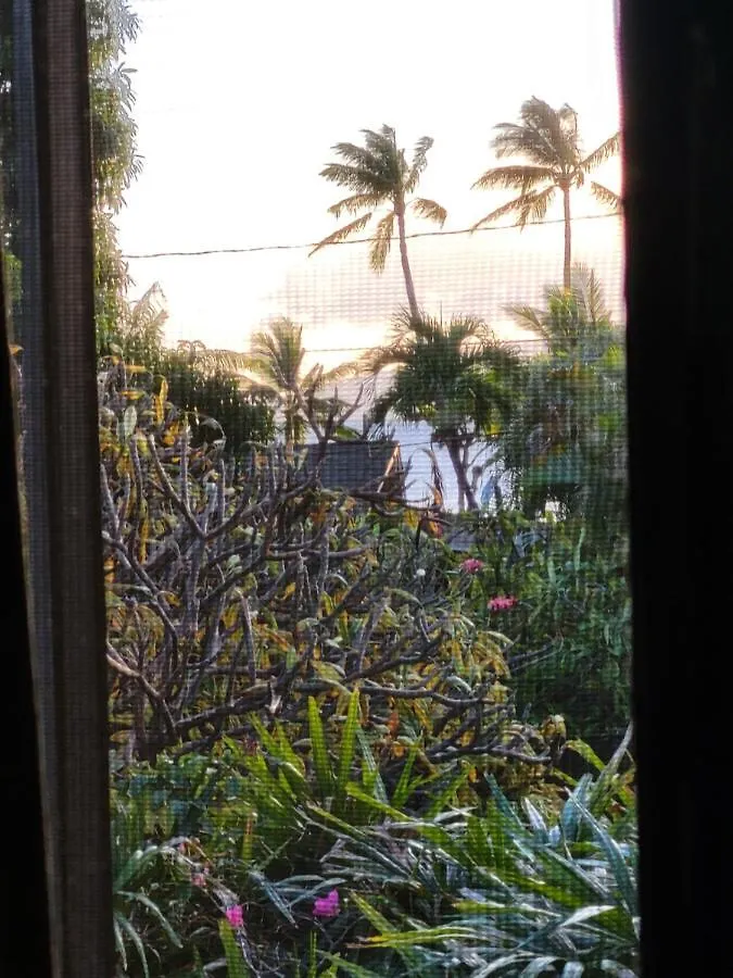 Homestay The Beach Hale Critter Refuge Lahaina