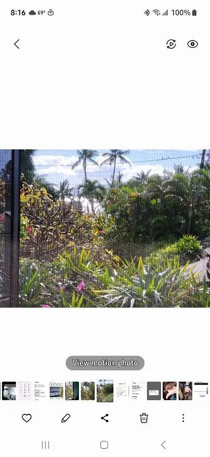 The Beach Hale Critter Refuge Lahaina Stati Uniti