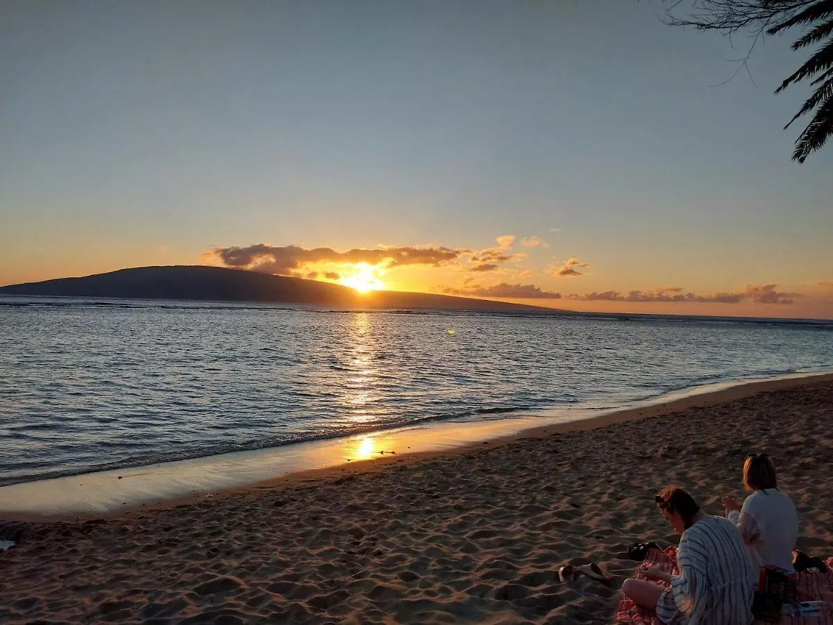 The Beach Hale Critter Refuge Lahaina Stati Uniti