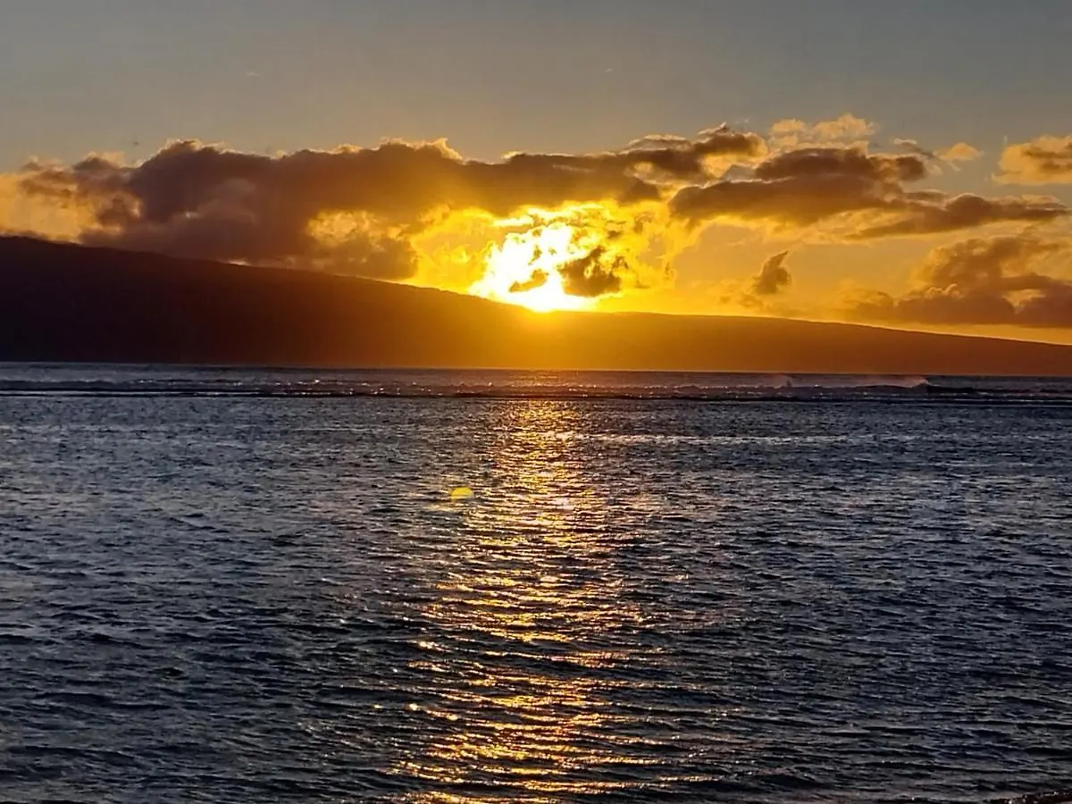 The Beach Hale Critter Refuge Lahaina 0*,  Stati Uniti